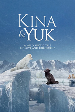 Kina & Yuk: renards de la banquise